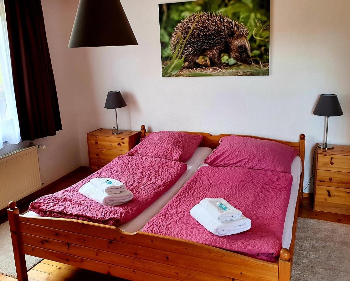 Hotel Gruener Baum Neckargerach Esterno foto