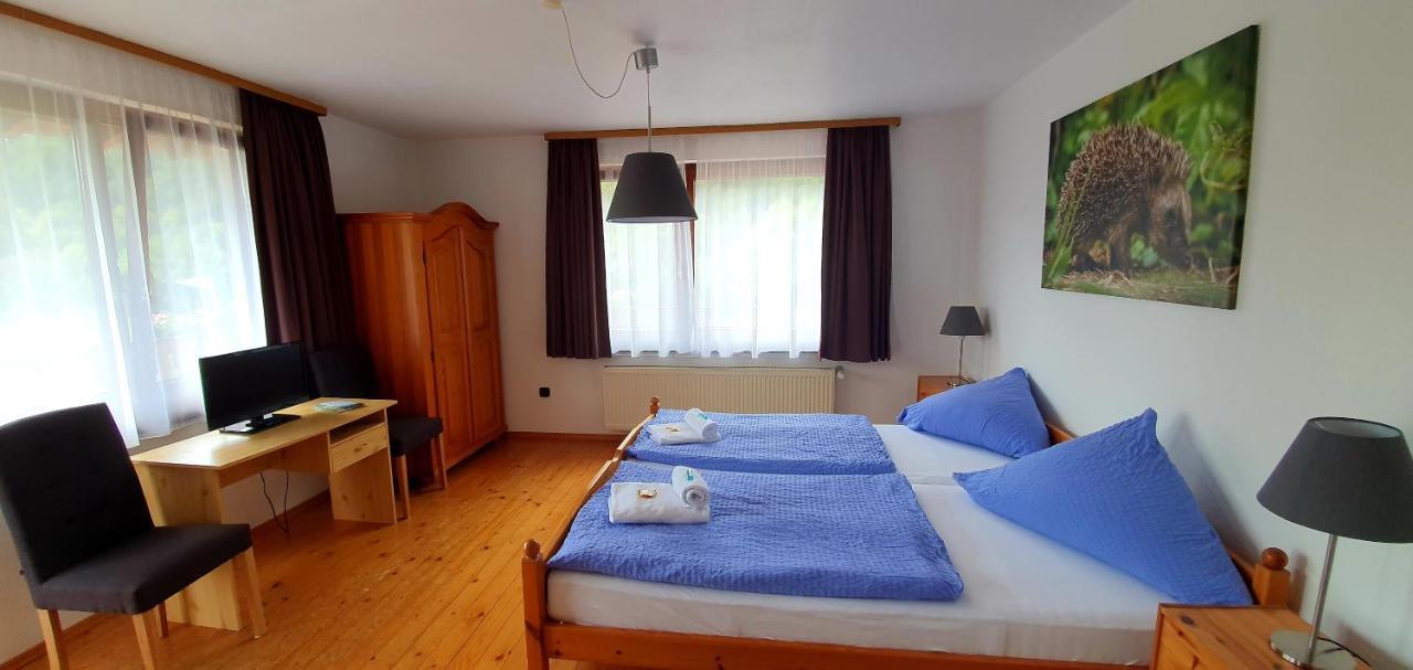 Hotel Gruener Baum Neckargerach Esterno foto