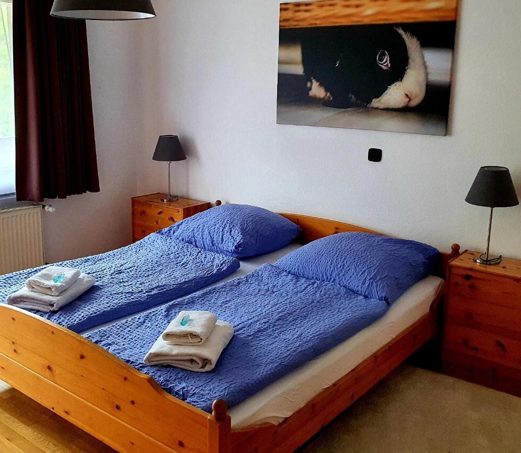Hotel Gruener Baum Neckargerach Esterno foto