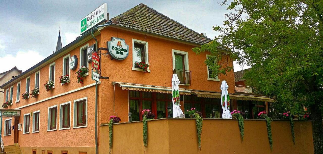 Hotel Gruener Baum Neckargerach Esterno foto